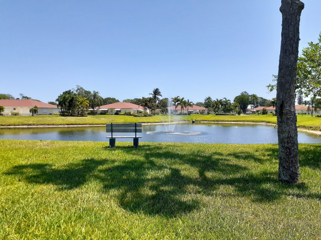 Lakeside Benches